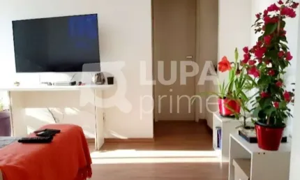 Apartamento com 1 dormitório á venda Santana São Paulo