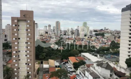 Apartamento com 3 dormitórios sendo 1 suíte à venda na Vila Paulicéia!