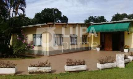 Casa com 4 quartos à venda na Avenida Coronel Sezefredo Fagundes, 6123, Jardim Francisco Mendes, São Paulo