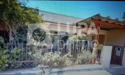 Terreno para venda na Vila Constança- 356 m²   (12 x 29,70)-
