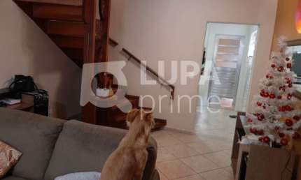 Sobrado com 4 dormitórios à venda no bairro do Limão!