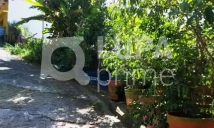 Terreno com 526 metros de área construída à venda no tucuruvi!