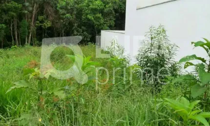 Terreno à venda na Avenida Nova Cantareira, 3924, Tremembé, São Paulo