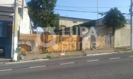 Terreno à venda na Avenida São Miguel, 3428, Vila Rio Branco, São Paulo