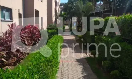 Apartamento com 2 quartos à venda na Rua Vitalina Moura, 180, Vila Roque, São Paulo