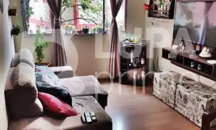 Apartamento com 3 quartos e 1   vaga fixa  de garagem à venda na vila constança