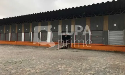 Barracão / Galpão / Depósito para alugar na Rua Lídice, 22, Parque Novo Mundo, São Paulo