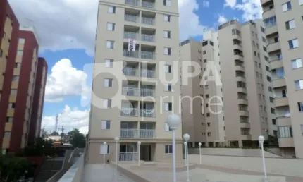Apartamento com 2 dormitórios à venda na Vila Curuça!