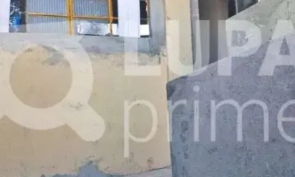 Casa com 1 quarto para alugar na Avenida Belisário Pena, 763, Vila Maria Alta, São Paulo