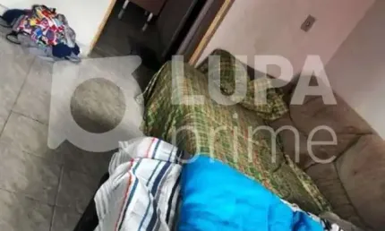 Casa com 3 quartos à venda na Rua Professora Carlinda Ribeiro, 203, Vila Penteado, São Paulo