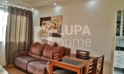 Apartamento com 3 quartos para venda, vila constança, são paulo