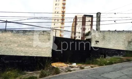 TERRENO RESIDENCIAL COM 630M² PARA LOCAÇÃO, VILA ISOLINA MAZZEI, SÃO PAULO