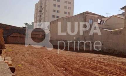 TERRENO RESIDENCIAL COM 800M²  PARA VENDA, VILA GUILHERME, SÃO PAULO