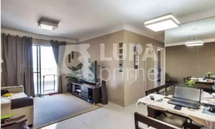 Apartamento com 3 quartos para venda, mandaqui, são paulo