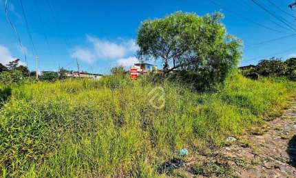 Terreno à venda, 158 m² por R$ 70.000,00 - Vargas - Sapucaia do Sul/RS
