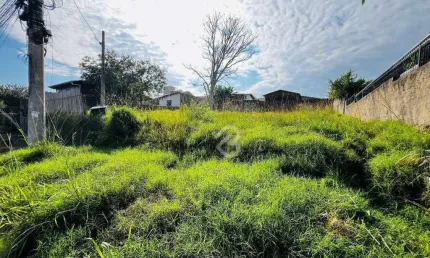 Terreno à venda, 308 m² por R$ 265.000 - Nova Sapucaia - Sapucaia do Sul/RS