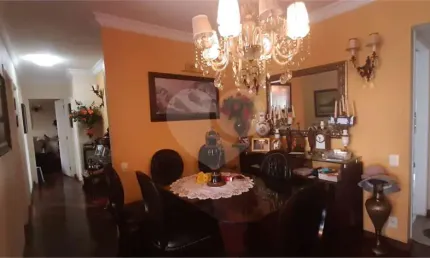 Apartamento com 3 quartos à venda em Jardim Avelino - SP
