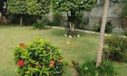 Chácara com 1 dormitório à venda, 1000 m² por r$ 600.000 - recanto do guaraparí - nova odessa/sp