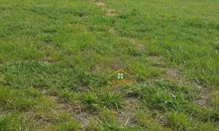 Terreno à venda, 300 m² por R$ 280.000,00 - Condomínio Solar das Esmeraldas - Nova Odessa/SP