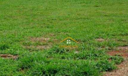 Terreno à venda, 300 m² por R$ 415.000 - Jardim Terramérica III - Americana/SP