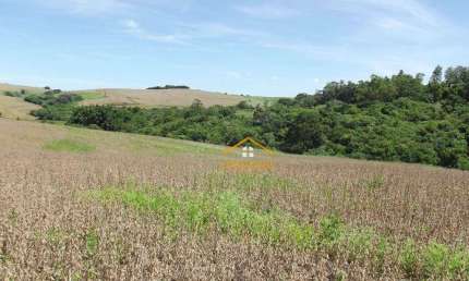 Fazenda à venda, 145200 m² por R$ 1.500.000 - Monte Verde - Santo Antônio da Platina/PR