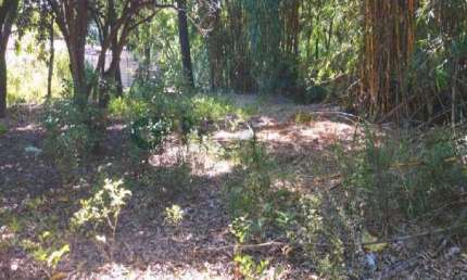 Terreno em condomínio fechado à venda na Rua Itaipe, s n, Orion, Divinópolis