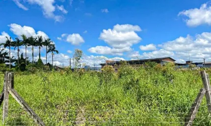 TERRENO no PORTO GRANDE com 0 quartos para LOCAÇÃO, 2193 m²