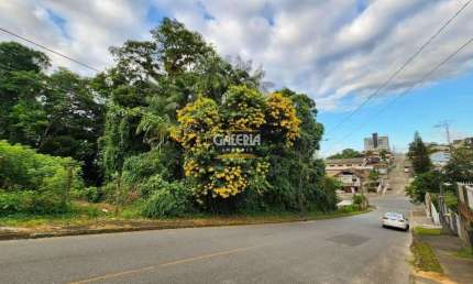 TERRENO no PETRÓPOLIS com 0 quartos para VENDA, 726 m²