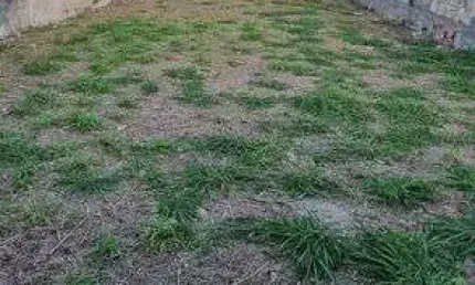 Terreno à venda na Rua Jornalista Ramiro Cruz, Piratininga, Niterói