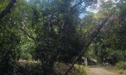 Área de quase 8 mil M2 podendo desmatar até 60 por cento da Área.