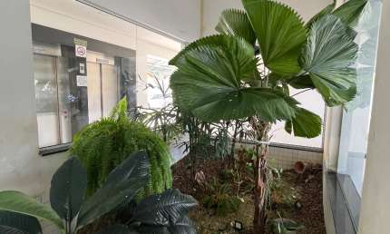 Lindo apartamento 2 quartos, 2 banheiros, em Caraguatatuba -SP