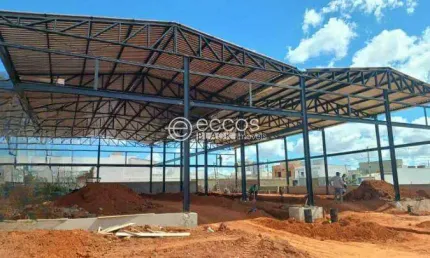 Barracão / Galpão / Depósito para alugar na Avenida Victor Alves Pereira, --, Novo Mundo, Uberlândia
