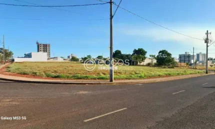 Terreno para aluguel, Portal do Vale - Uberlândia/MG