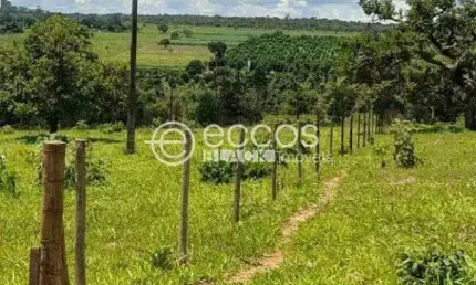 Chácara / sítio à venda na Rodovia BR-497, --, Chácaras Eldorado, Uberlândia