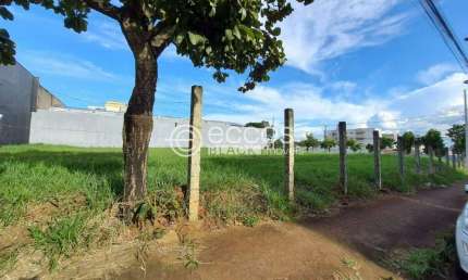 Terreno à venda na Avenida Francisco Ribeiro, --, Santa Mônica, Uberlândia