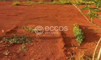 Terreno à venda na Rua João Cabral De Melo Neto, --, Novo Mundo, Uberlândia