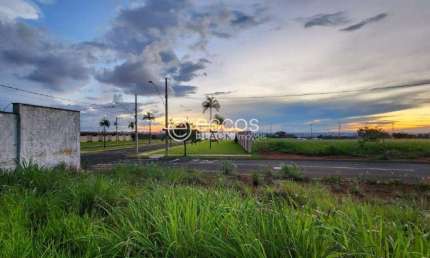 Terreno à venda na Rua Aquarela, --, Alto Umuarama, Uberlândia