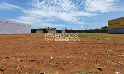 Terreno à venda na Rua Professor Mário Godoy, --, Santa Mônica, Uberlândia