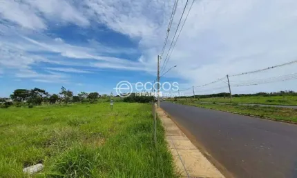 Terreno à venda na Avenida Rui de Castro Santos, --, Custódio Pereira, Uberlândia