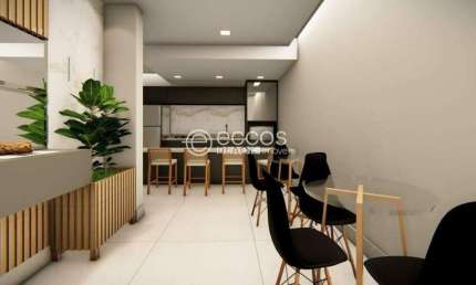 Apartamento à venda, 2 quartos, 1 suíte, 1 vaga, Santa Mônica - Uberlândia/MG