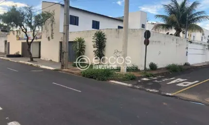 Terreno à venda na Rua Olegário Maciel, --, Vigilato Pereira, Uberlândia