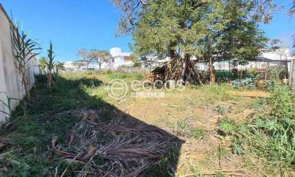 Terreno à venda na Rua Caracuri, --, Jardim Karaíba, Uberlândia