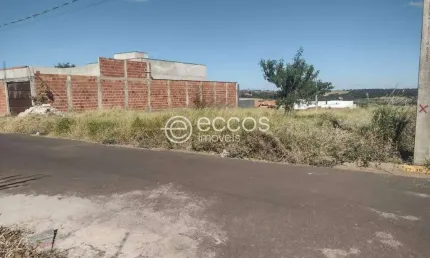 Terreno à venda na Rua Vilazito Gonçalves, --, Jardim Milenium, Araguari