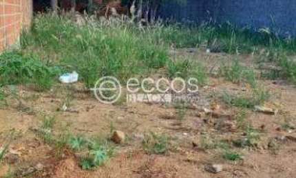 Terreno à venda na Rua Ana Batista, --, Vieno, Araguari