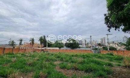 Terreno à venda na Rua Olegário Maciel, --, Centro, Uberlândia