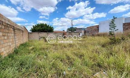 Terreno à venda na Rua da Sálvia, --, Panorama, Uberlândia