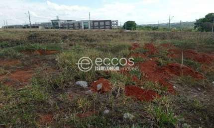 Terreno à venda na Rua Walter Marques, --, Sibipiruna, Araguari