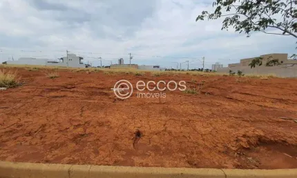 Terreno à venda, loteamento portal do vale ii - uberlândia/mg