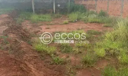 Terreno à venda na Rua Antônio Pereira Neto, --, Jardim Milenium, Araguari