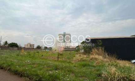 Terreno à venda na Avenida Anselmo Alves dos Santos, --, Conjunto Segismundo Pereira, Uberlândia